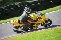 brands-hatch-photographs;brands-no-limits-trackday;cadwell-trackday-photographs;enduro-digital-images;event-digital-images;eventdigitalimages;no-limits-trackdays;peter-wileman-photography;racing-digital-images;trackday-digital-images;trackday-photos